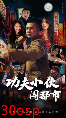 功夫小伙闯都市