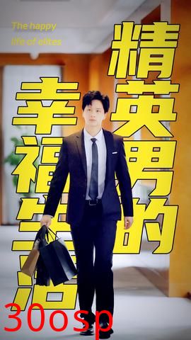 精英男的幸福生活