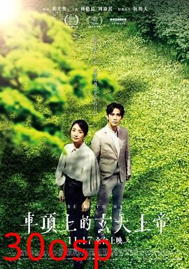 车顶上的玄天上帝