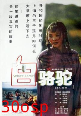 白骆驼