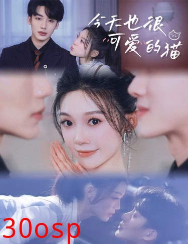 今天也很可爱的猫