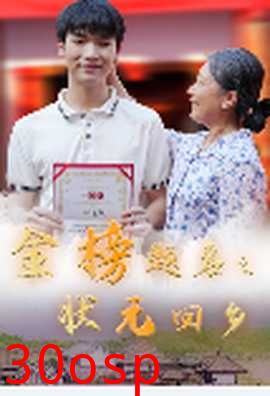 金榜题名之状元回乡