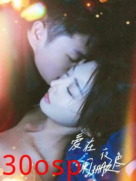 爱在夜色阑珊处