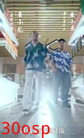 最新版：护国神帅