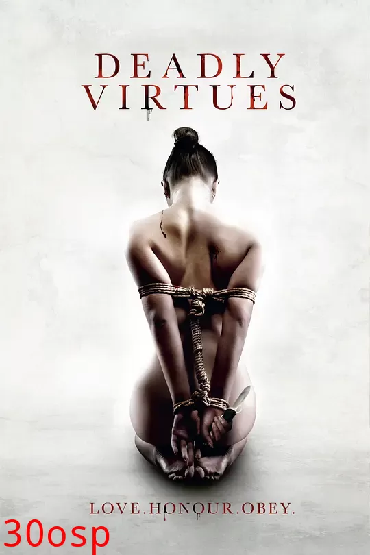 致命美德：爱，荣誉，服从【影视解说】