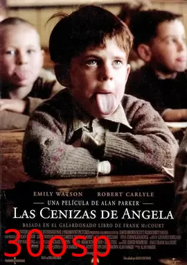 安其拉的灰烬【影视解说】