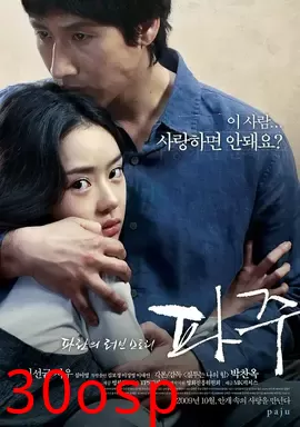 坡州【影视解说】