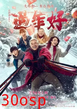 过年好【影视解说】