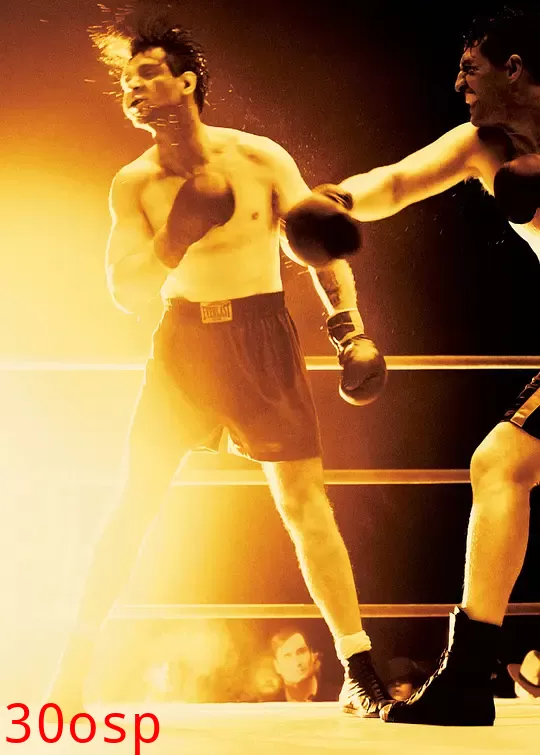 拳击手【影视解说】