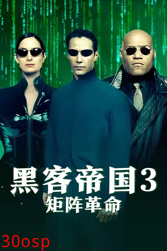 黑客帝国3【影视解说】
