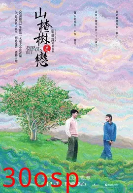 山楂树之恋【影视解说】