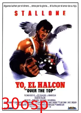 飞越巅峰【影视解说】