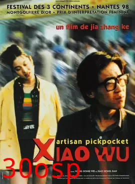 小武【影视解说】