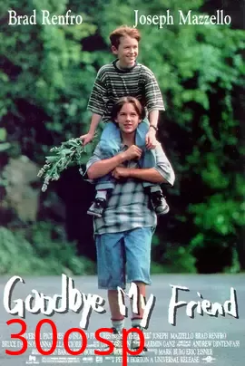 真情世界【影视解说】