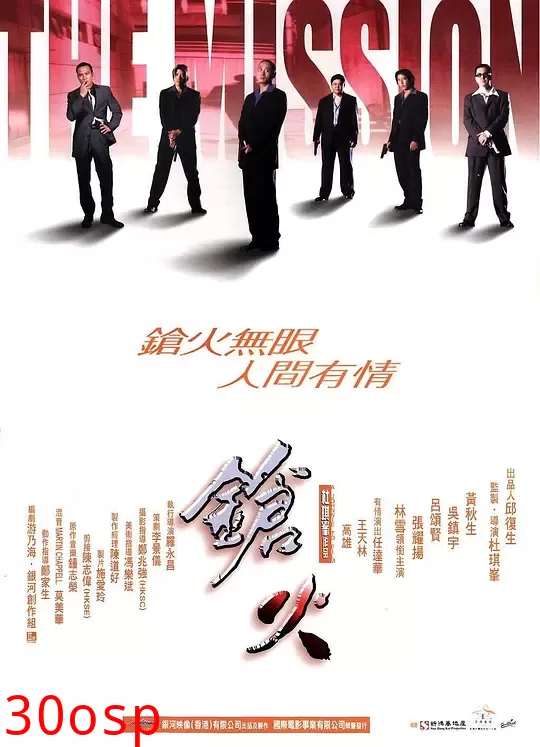 枪火【影视解说】