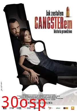 波兰黑帮【影视解说】