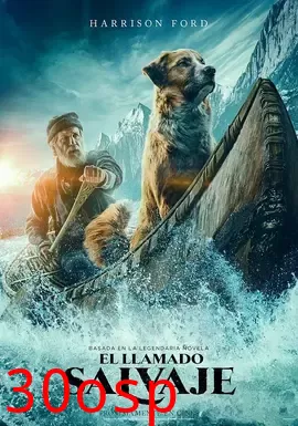 野性的呼唤【影视解说】