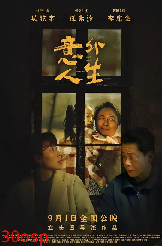 意外人生【影视解说】