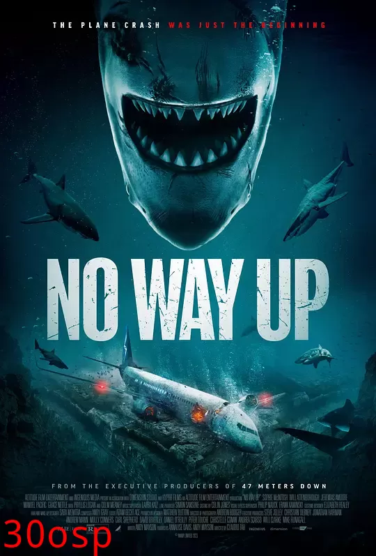 深渊鲨滩【影视解说】