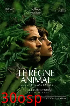 动物王国【影视解说】