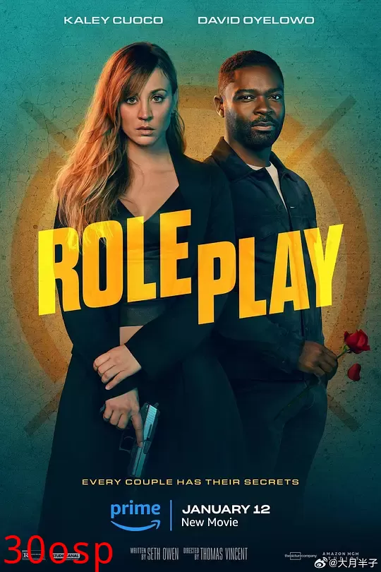 王牌杀姬【影视解说】