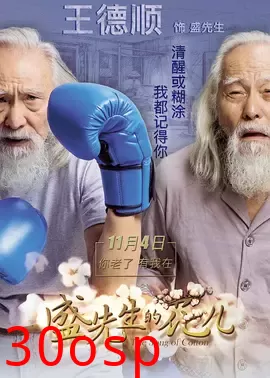 盛先生的花儿【影视解说】