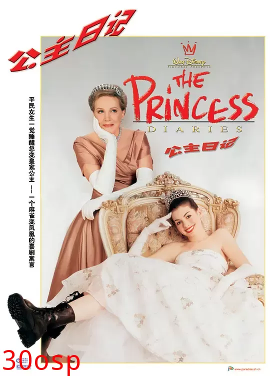 公主日记【影视解说】