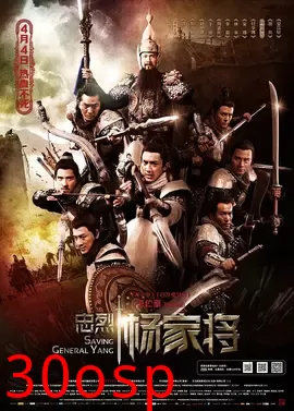 忠烈杨家将【影视解说】