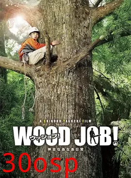 哪啊哪啊神去村【影视解说】