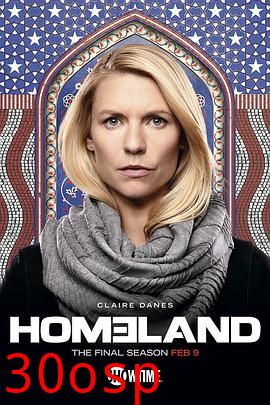 国土安全第八季