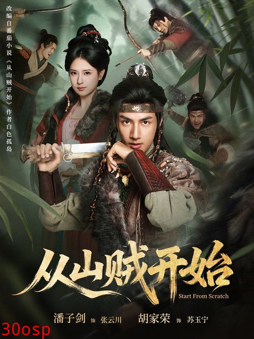 从山贼开始