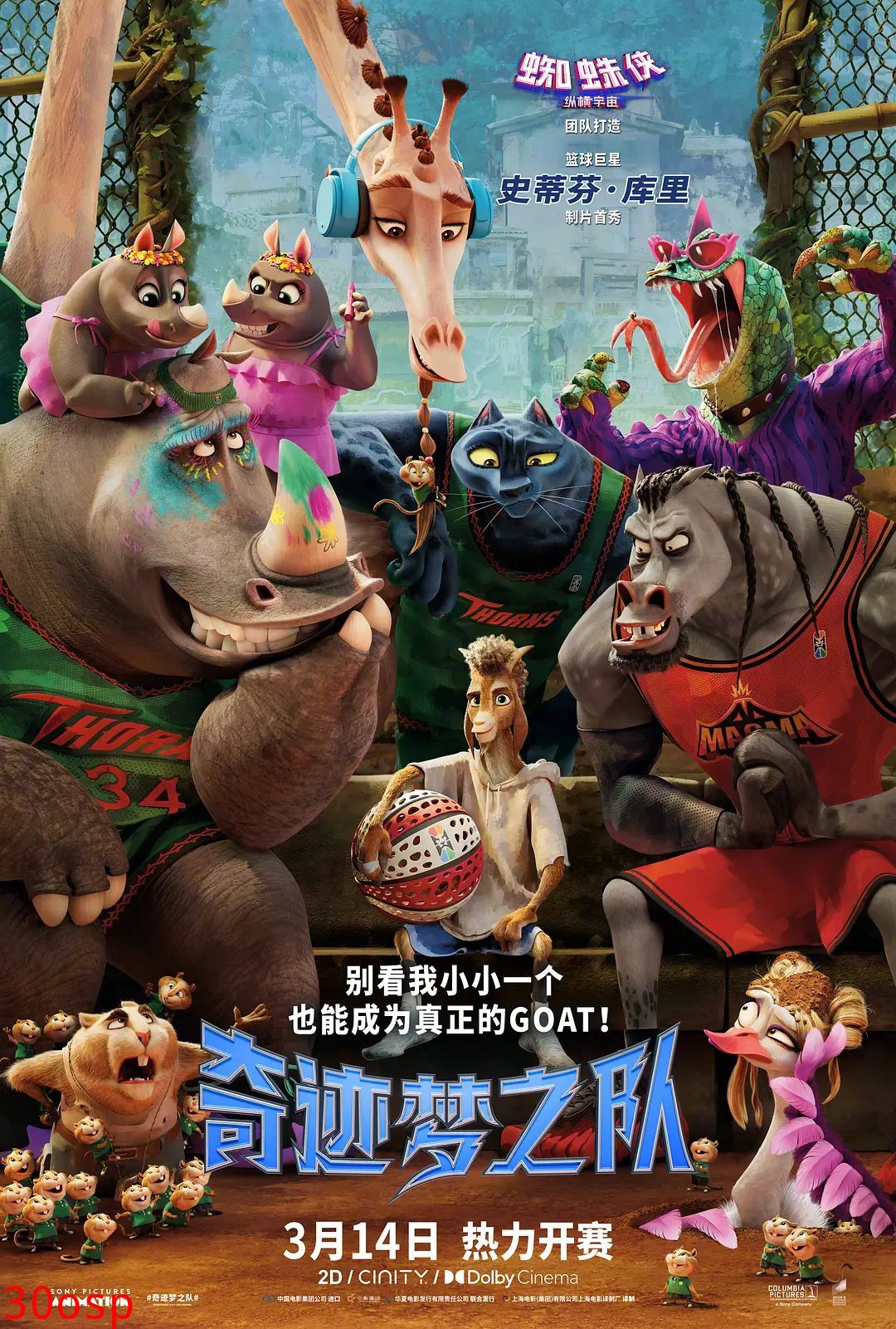 奇迹梦之队（国语版）