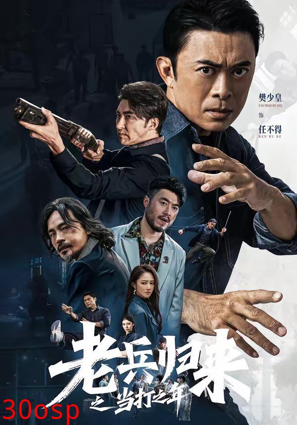 老兵归来之当打之年