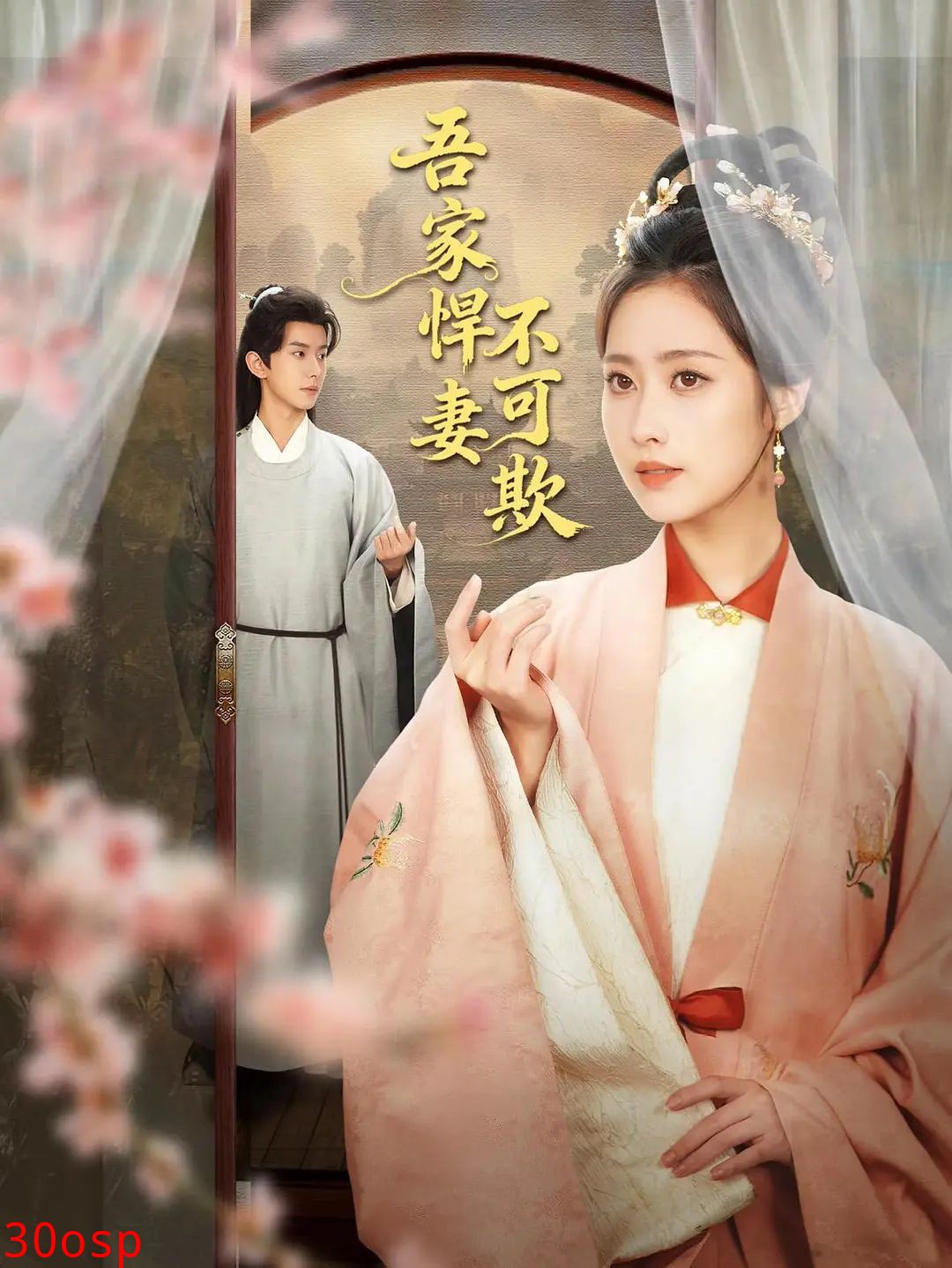 吾家悍妻不可欺