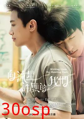 向流星许愿的我们