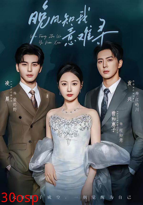 晚风知我意难寻