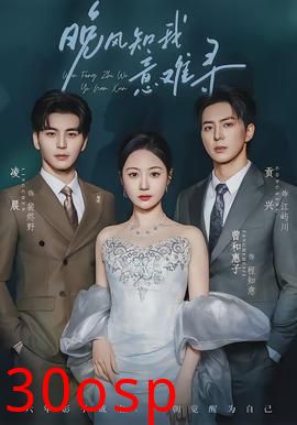 晚风知我意难寻