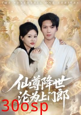 仙尊降世沦为上门郎