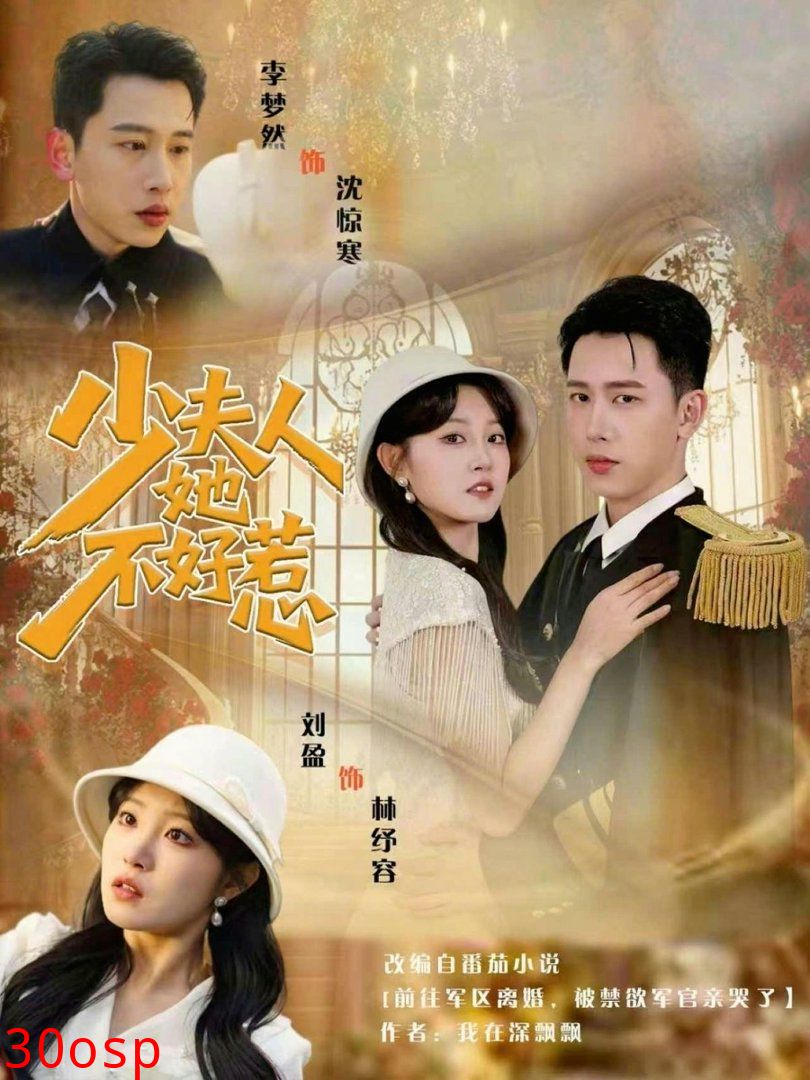 少夫人她不好惹