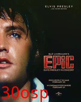 传奇：演唱的猫王