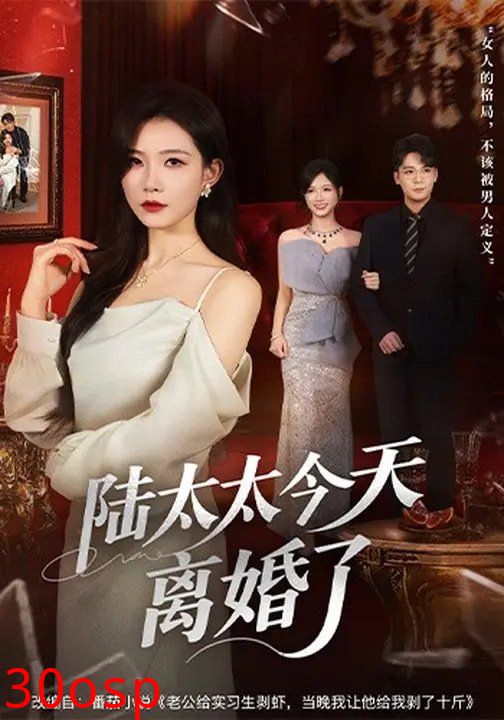 陆太太今天离婚了