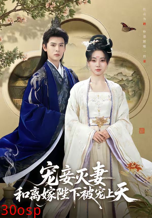 宠妾灭妻，和离嫁陛下被宠上天