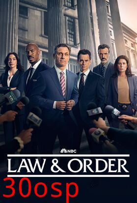 法律与秩序 第二十五季