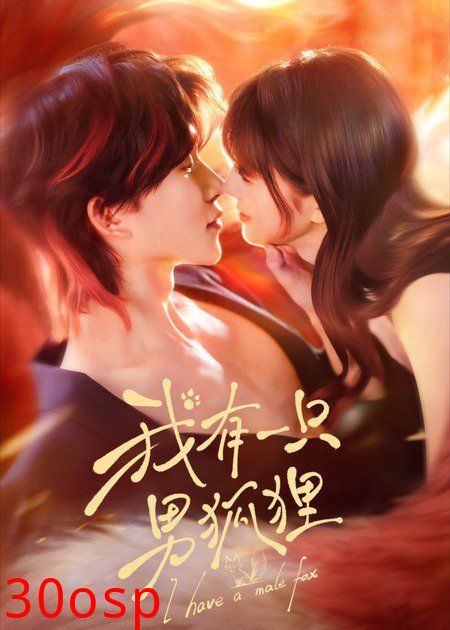 我有一只男狐狸