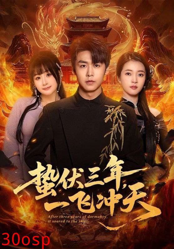 蛰伏三年，一飞冲天