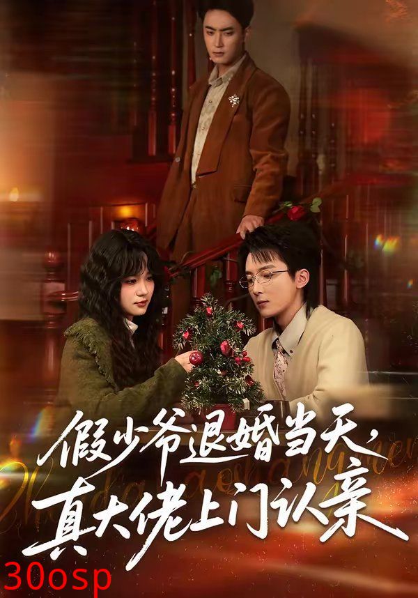 假少爷退婚当天，真大佬上门认亲