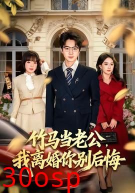 竹马当老公，我离婚你别后悔