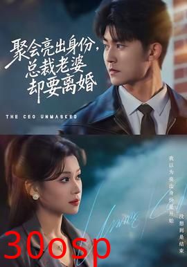 聚会亮出身份，总裁老婆却要离婚