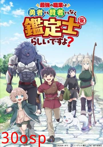 最强的职业不是勇者也不是贤者好像是鉴定士(伪)的样子?