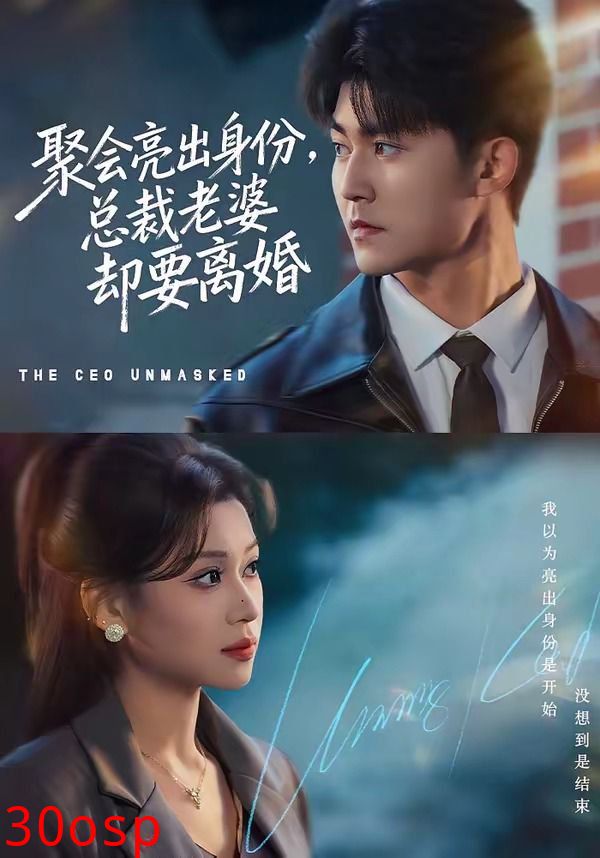 聚会亮出身份，总裁老婆却要离婚